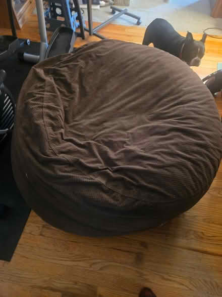 Photo of free Bean bag bed (North Greenbush) #1