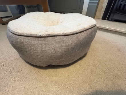 Photo of free Cat bed (Central Reading RG1) #2