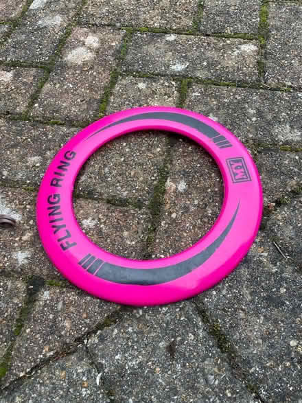 Photo of free Frisbee Ring (Wallands Park BN7) #1