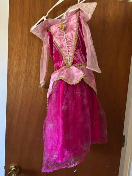 Photo of free Princess dress (Norristown) #2