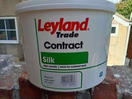 Photo of free magnolia emulsion. (Twerton BA2) #1