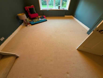 Photo of free Sand coloured textured carpet (Hp30lp) #2