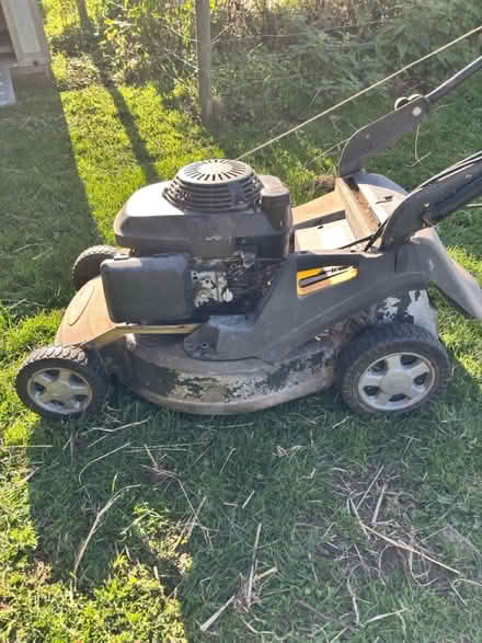 Photo of free 4-Stroke motor mower (Churston Ferrers TQ5) #2