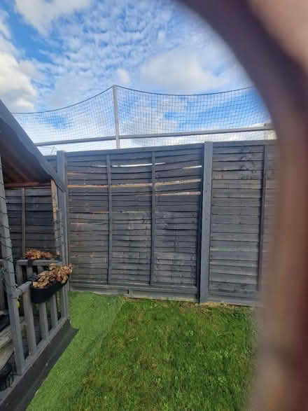 Photo of free X2 6ft by 6ft fence panels (Stevenage SG2) #1