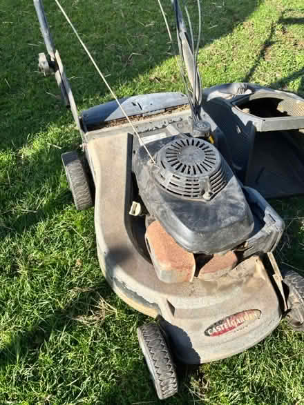Photo of free 4-Stroke motor mower (Churston Ferrers TQ5) #3