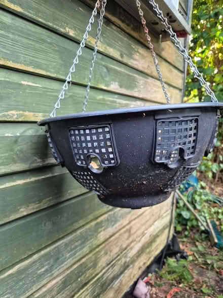 Photo of free Hanging basket (Horfield BS10) #2