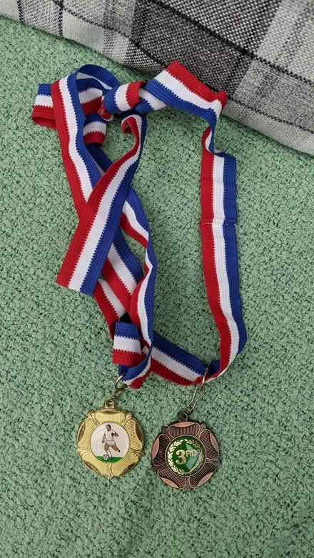 Photo of free Sports medals (west side of Horsham RH12) #1
