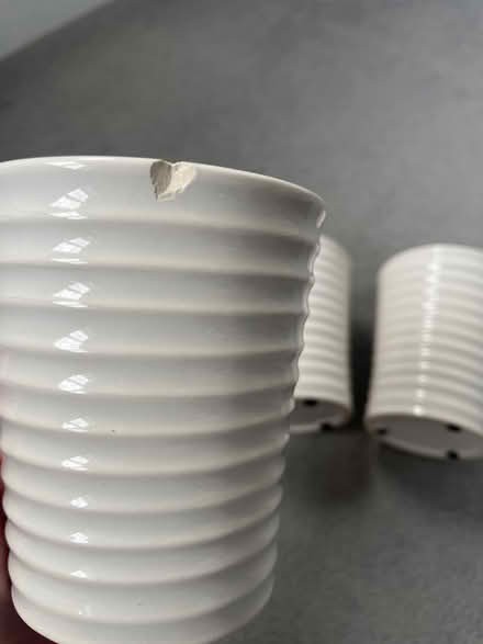 Photo of free 3 herb plant pots (OX14) #3