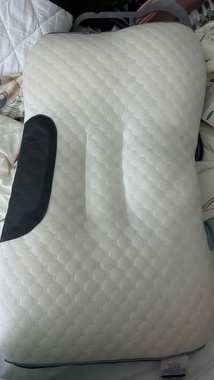 Photo of free 4 Pillows (Monkwick CO2) #1