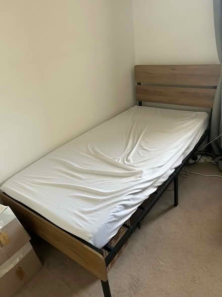 Photo of free Single bed no mattess (Barnes SW13) #1