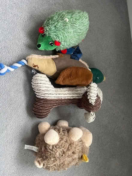 Photo of free Large dog toys (OX14) #1