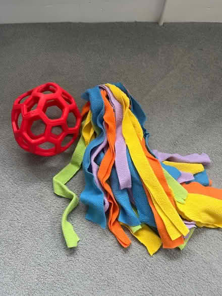 Photo of free Dog game (OX14) #1