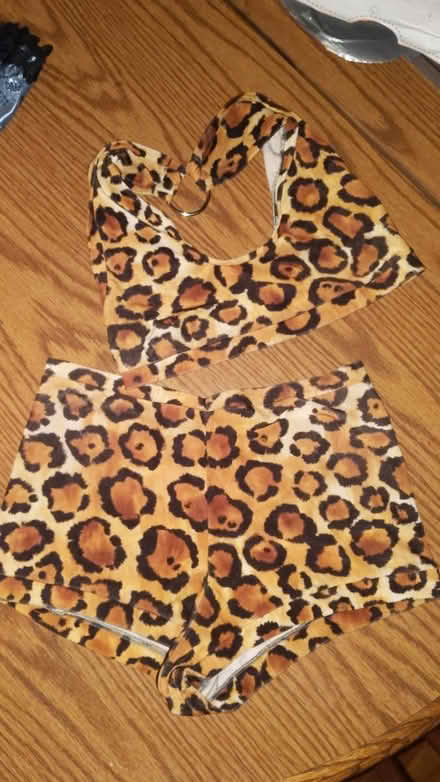 Photo of free GoGo/Cosplay Outfits (East Village) #2