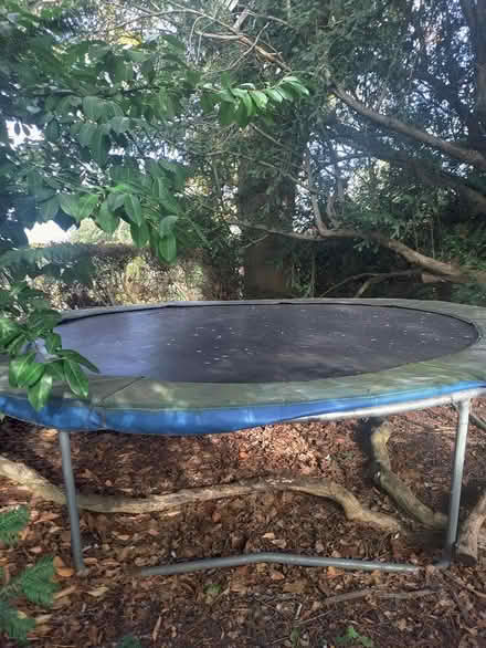 Photo of free Large trampoline (Watlington OX49) #2
