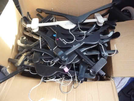Photo of free hangers (Dean Court OX2) #1