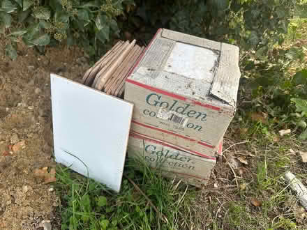 Photo of free Wall tiles (Kingsdown Park CT5) #1