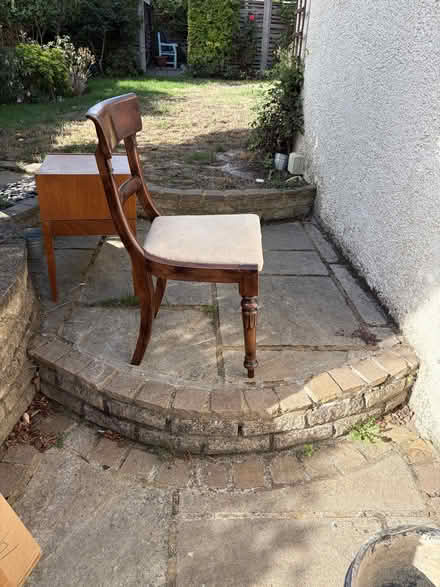 Photo of free Dining chair x 5 (Mottingham SE9) #1
