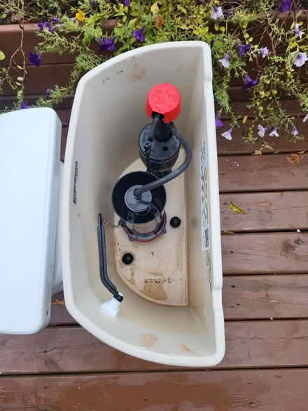 Photo of free Kohler Toilet (Elmvale Acres) #3