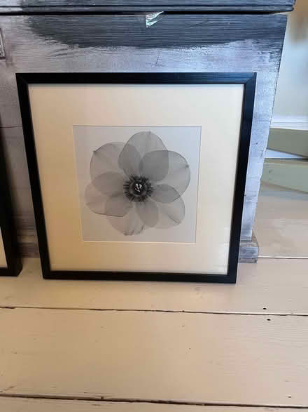 Photo of free Pictures (Warwick CV34) #3