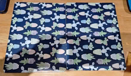 Photo of free 6 cactus placemats and coasters by Denby (Cann Hall E7) #4