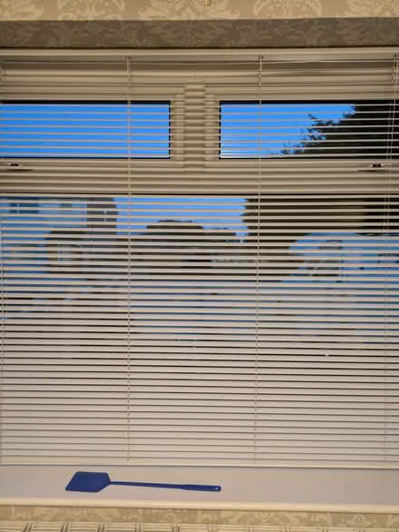 Photo of free Window blinds (Westgate LA4) #2