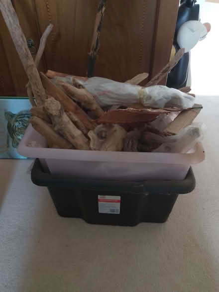 Photo of free Assorted beach driftwood (Saughall village CH1) #1