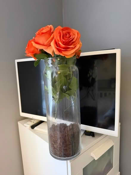 Photo of free Glass vase with artificial roses (Weston BA1) #1