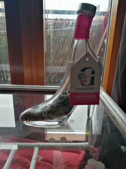 Photo of free Shoe glass bottle (E11) #1