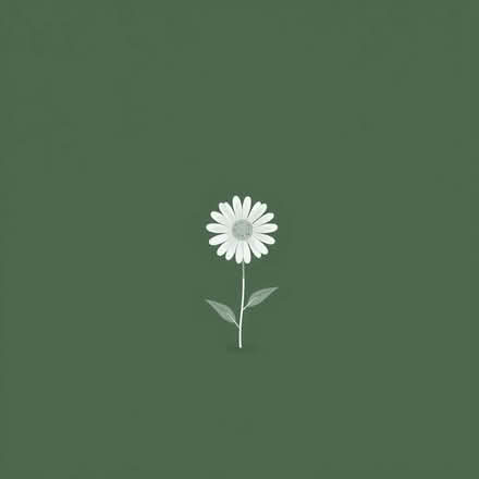 Photo of free Michaelmas daisy (Eastfield PE1) #1