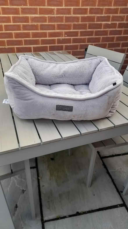 Photo of free Pet bed (Longton PR4) #1