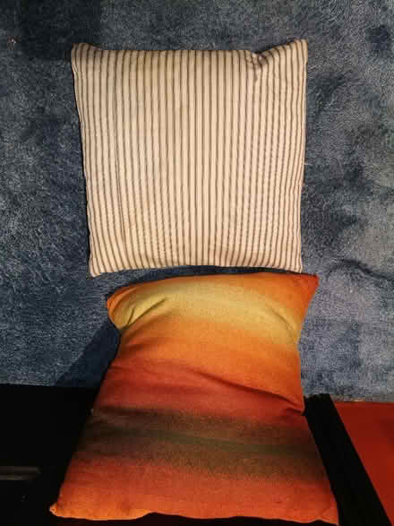 Photo of free 2 vintage cushions (Buxted TN22) #1