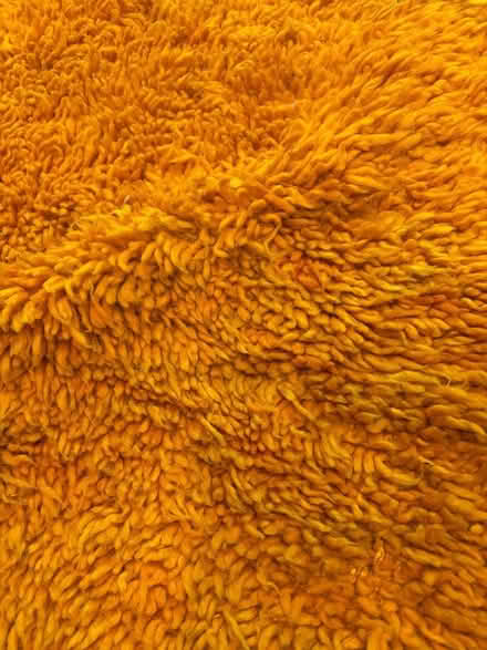 Photo of free Orange Rug (SW1W) #4