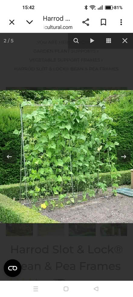 Photo of free Bean and pea support frame (Youlgreave DE45) #1