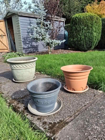 Photo of free Plant Pots (Stafford ST16) #1