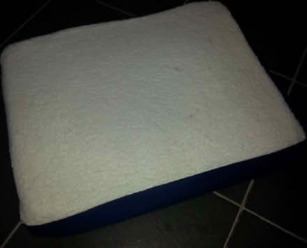 Photo of free Foam Cushion (West Bridgford NG2) #1