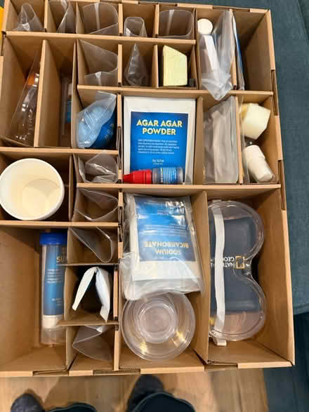 Photo of free Mega Science Advent Calendar (Stoneham (Spot Pond area)) #4
