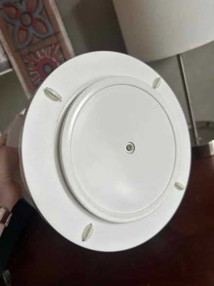 Photo of free Rotating scalloped shelves (Malden) #4