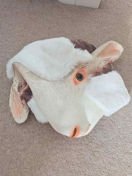 Photo of free Creepy sheep mask (Halloween) (Maidenbower, RH10) #1