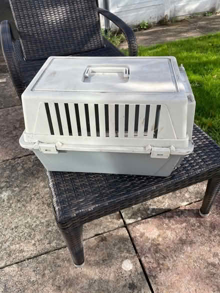 Photo of free Pet Carry Box (Little Doward HR9) #4