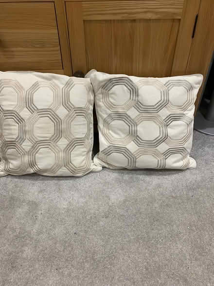 Photo of free 2 Dorma cushions (Emsworth PO10) #1