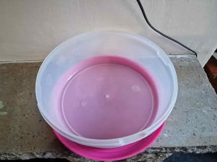 Photo of free Plastic cake tub (Warrington WA2) #2