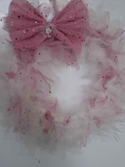 Photo of free Gender reveal bits (Hoddesdon EN11) #3