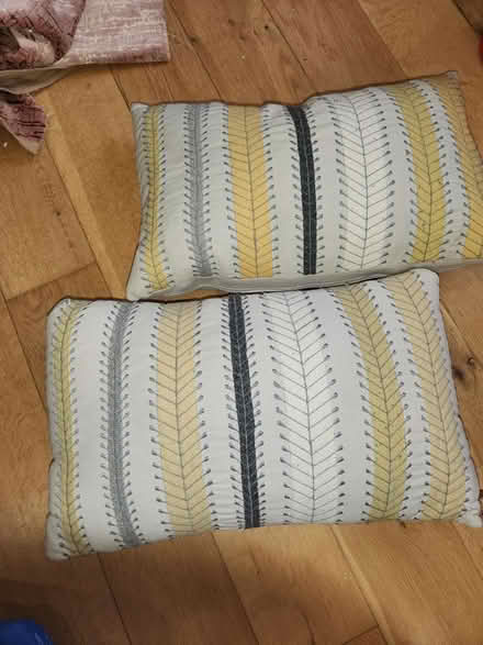 Photo of free Pillows with Cases 46x 29 (L23 6XS) #1