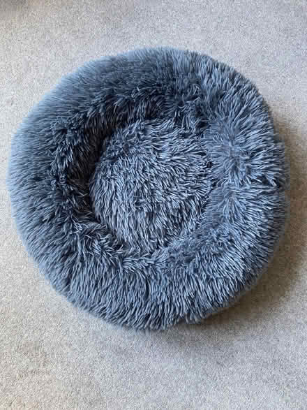Photo of free Pet bed (Mabley Street E9) #1
