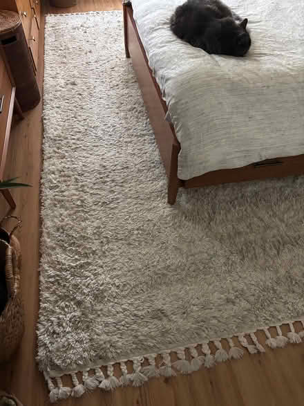 Photo of free Ivory rug (Upper Dimond) #3