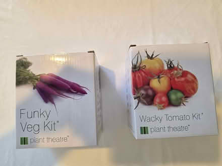 Photo of free Tomato and Carrot grow kits. (Kendal LA9) #1