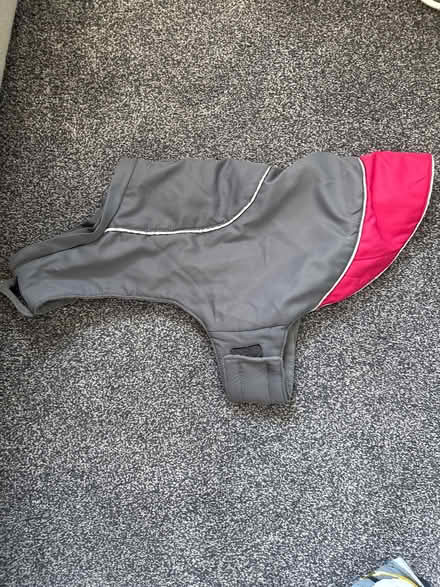 Photo of free Dog raincoat (Leighton Buzzard LU7) #1