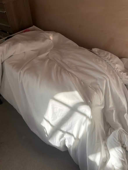 Photo of free 2 x single duvets 10.5 tog (Farnborough gu14) #2