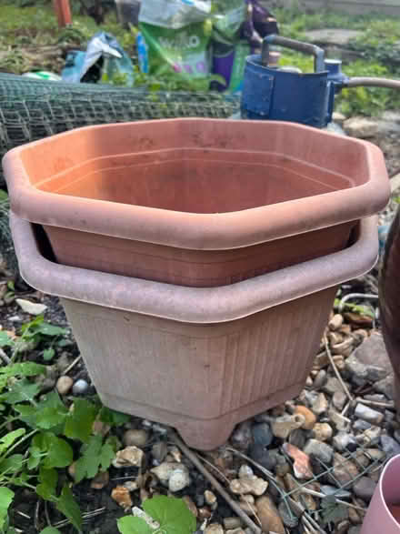 Photo of free Plant pots (Stanway) #1