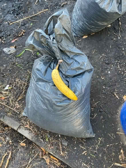 Photo of free Top soil (Kingswood) #1